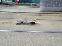 Imagine atasata: 20260414_110845.jpg